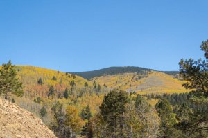 20201020FallColors2020148.jpg